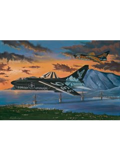 Aviation Art Painting ''The Last Corsairs'' - Canvas print 60 X 42.5 cm.