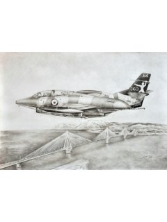 HAF Anniversary T-2E Buckeye art print