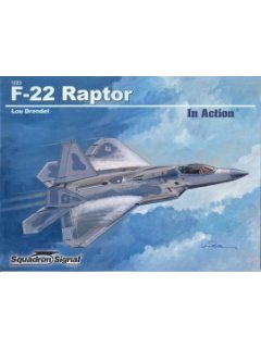 F-22 Raptor in Action