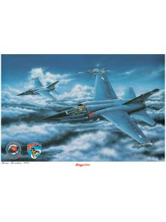 Αντίγραφο ζωγραφικού πίνακα (αφίσα) Mirage F.1CG 