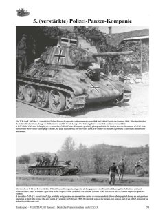 German Armoured Formations in the OZAK 1943-45, Tankograd