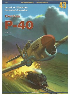 Curtiss P-40 Vol. III, Kagero