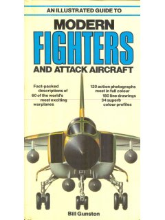 An Illustrated Guide to Modern Fighters and Attack Aircraft, Salamander