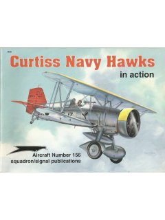 Curtiss Navy Hawks in Action
