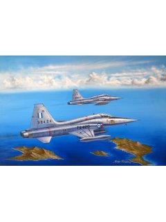 Ζωγραφικός Πίνακας F-5A FREEDOM FIGHTER - Αντίγραφο σε Καμβά 50 Χ 32 εκ. (Τελαρωμένο)