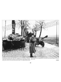 In Focus 1: Jagdpanzer 38, Panzerwrecks