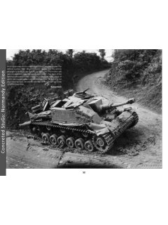 Panzerwrecks 17