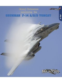 F-14 Tomcat, DACO