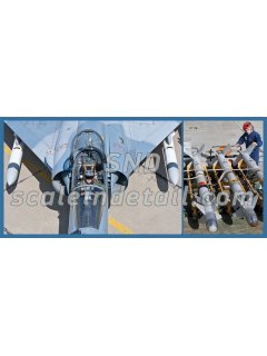 Mirage 2000 Under the Skin, Eagle Aviation