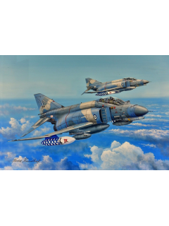 Aviation Art Painting F-4 PΗΑΝΤΟΜ II / HAF 339 SQN RIAT 2016 (Canvas print)