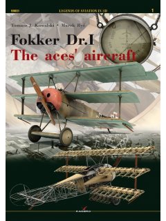 Fokker Dr.I, Kagero
