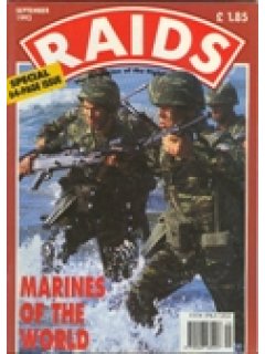 RAIDS (english edition)