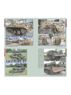 AMX-30, WWP