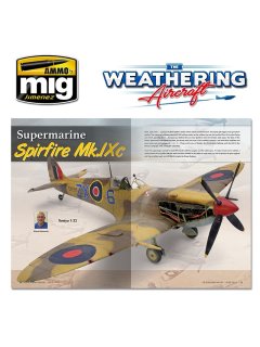 The Weathering Aircraft 09