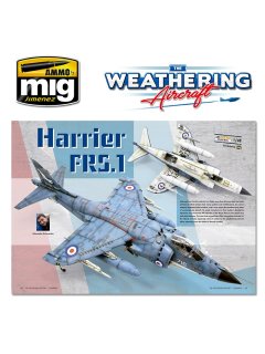 The Weathering Aircraft 11