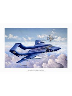 Aviation Art Painting DH.110 Sea Vixen - Medium size Print