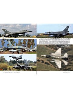 F-16: 30 Years in HAF Service, Icarus Workshop