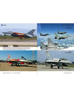 F-16: 30 Years in HAF Service, Icarus Workshop
