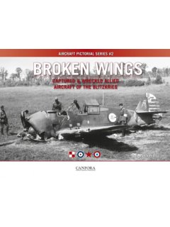 Broken Wings: Captured & Wrecked Aircraft of the Blitzkrieg, Canfora