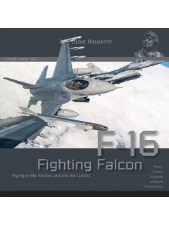 F-16, Duke Hawkins 002