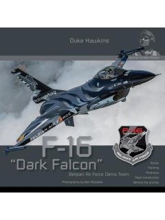 F-16 Dark Falcon, Duke Hawkins 