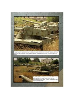 AMX-13 in Lebanon, Blue Steel 