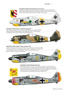 Fw 190, Valiant Wings