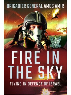 Fire in the Sky - Flying in Defence of Israel, Amos Amir