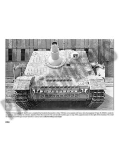 Combat History of Sturmpanzer-Abteilung 217, Panzerwrecks