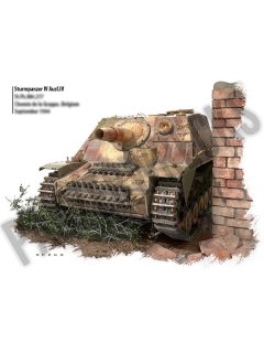 Combat History of Sturmpanzer-Abteilung 217, Panzerwrecks