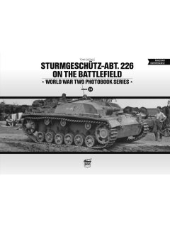 Sturmgeschütz-Abt.226 on the battlefield, Peko