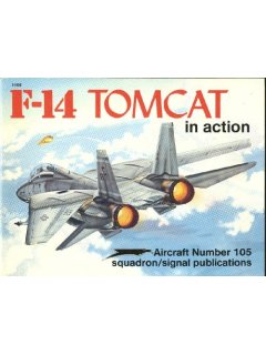 F-14 Tomcat in Action